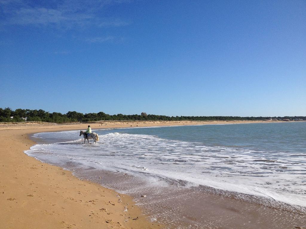 Appartement 43 M2 Front De Mer 3 Cles Vacances La Tranche-sur-Mer Pokój zdjęcie